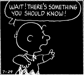 wait! theres something you should know!